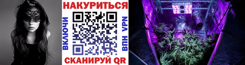 Все наркотики Судогда Каннабис Кокаин ГАШ МДМА МЕГА как зайти Мефедрон
