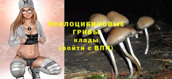 а пвп мука Абаза