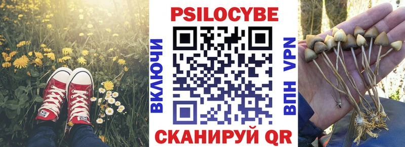 закладки  Судогда  darknet какой сайт  Галлюциногенные грибы мухоморы 